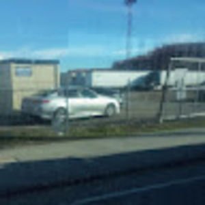 Meet your Posher, Reginald